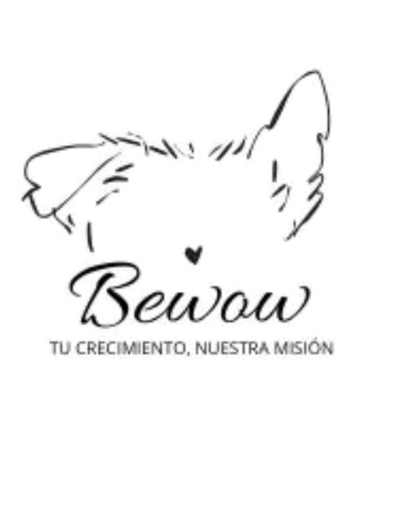Agencia BeWow marketing digital